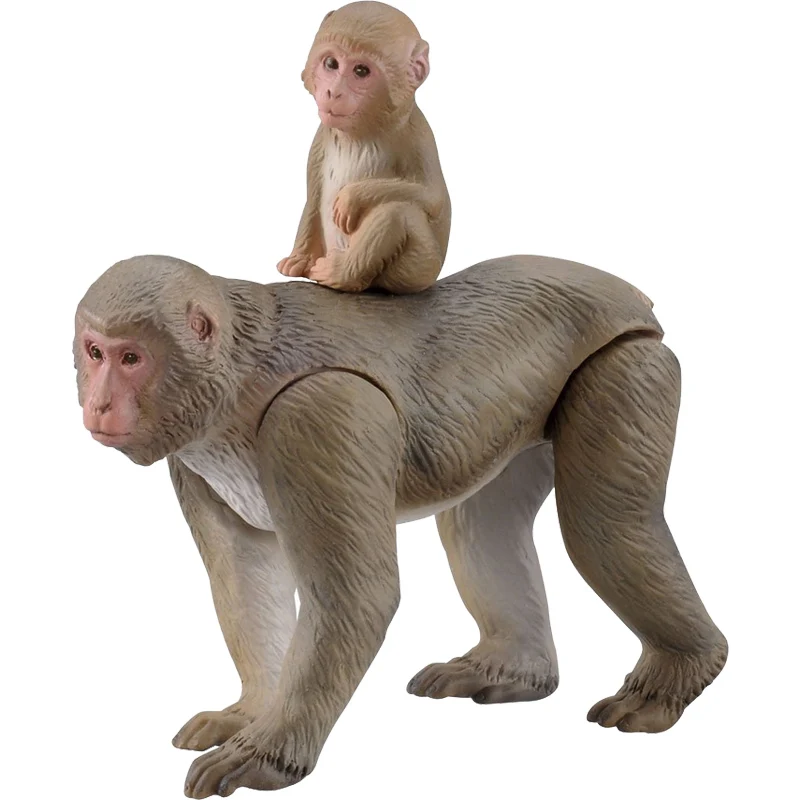 Takara Tomy ANIA Animal Advanture Monkey 2 шт. дикая ABS фигурка детские развивающие игрушки|Игровые