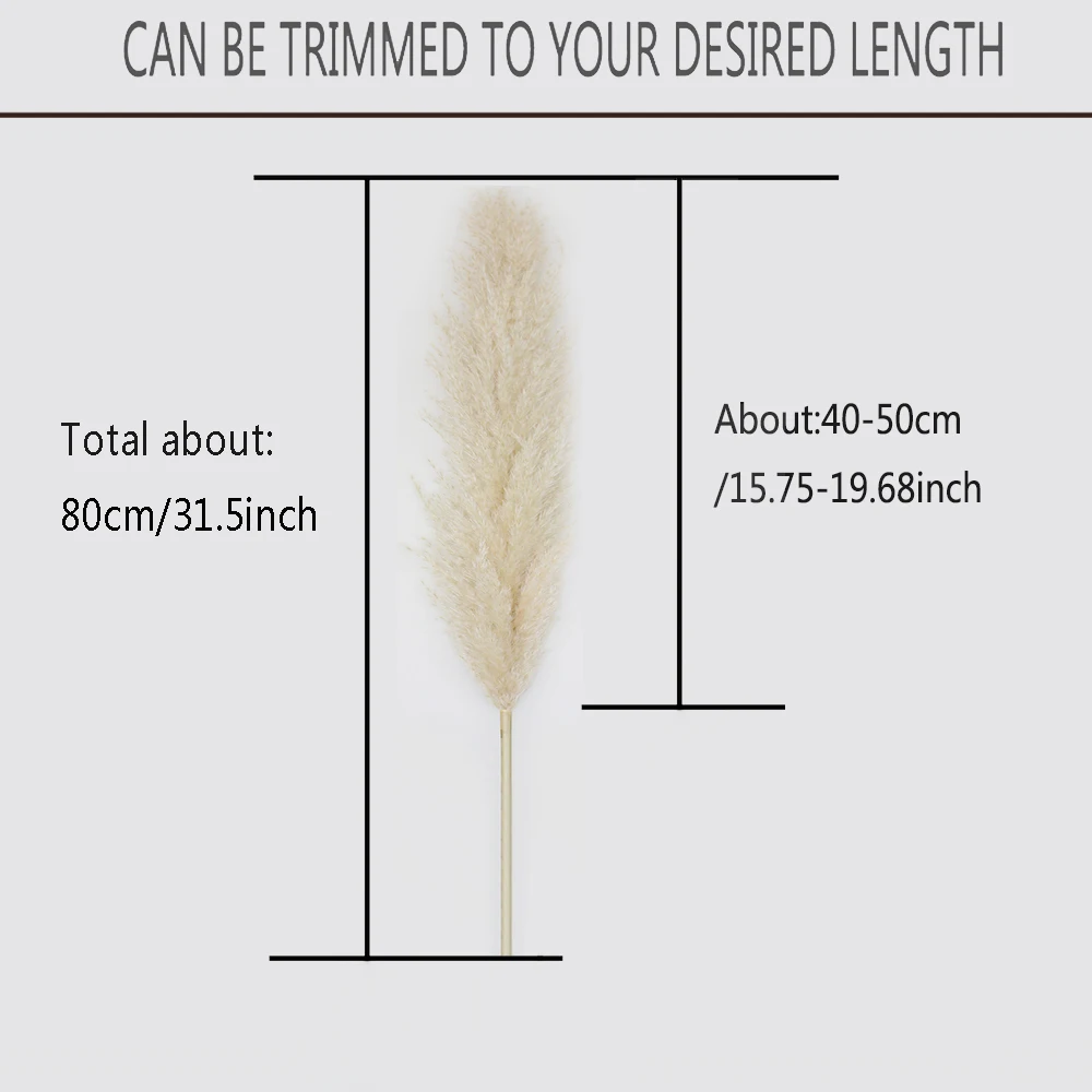80cm natural big pampas grass fluffy reed dried flowers bouquet large pampas wedding flowers decor home christmas decoration free global shipping