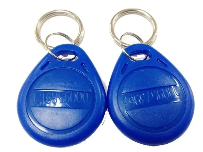 50/100 шт Синий RFID 125 кГц EM4100 ключ тег Брелоки для ключей кольцо чип Keytab TK4100 теги 125 кГц только для чтения