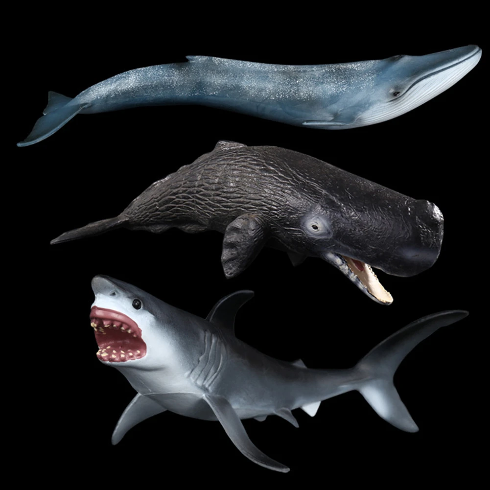 

Large Emulational Blue Whale Sperm Whale Shark Animal Model Simulation Marine Life Animal Model Toy Giant Tooth Shark Killer Toy