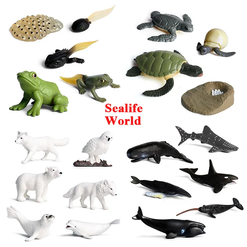 

Oenux 21PCS Sea Life World Simulation Ocean Turtle Frog Growth Cycle Animals Model Action Figures Education Miniature Kids Toy
