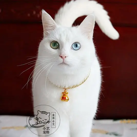 

CX Handmade Dog/Cat Cat Bunny Cute Bell Collar