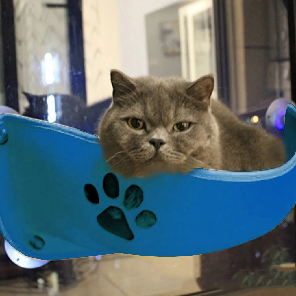 Присоска для кошек на присоске глубокая кровать сна у собак и наблюдения за