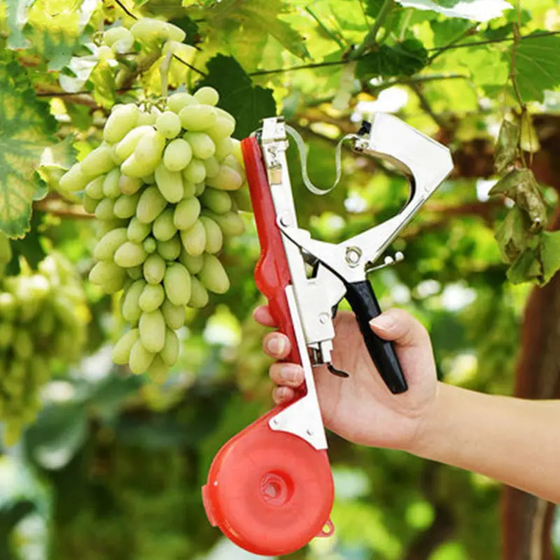 

Outdoor Tying Tool Gardening Fixing Machine Agricultural Grafting Tool Grape Tomato Vine Tying Machine