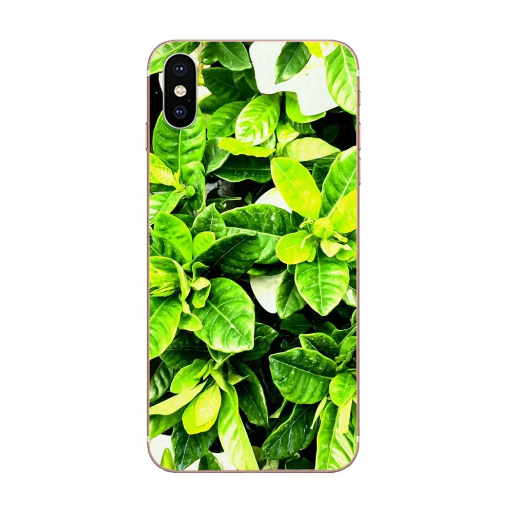 TPU Новая мода растения цветы зеленые уши кролика кактус для Xiaomi Redmi Mi 4 7A 9T K20 CC9 CC9e