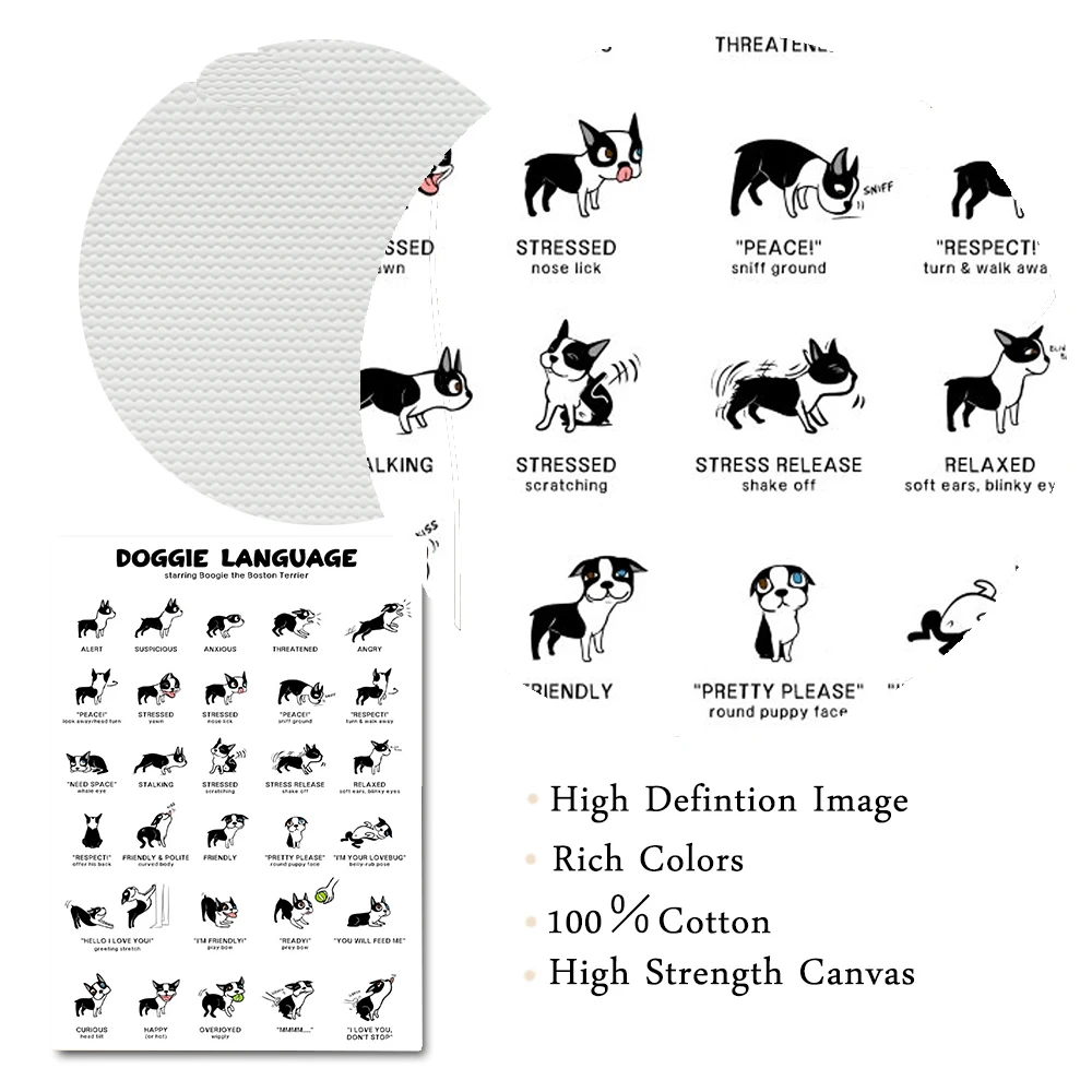 Плакаты и принты в скандинавском стиле с забавными милыми котами собаками знания