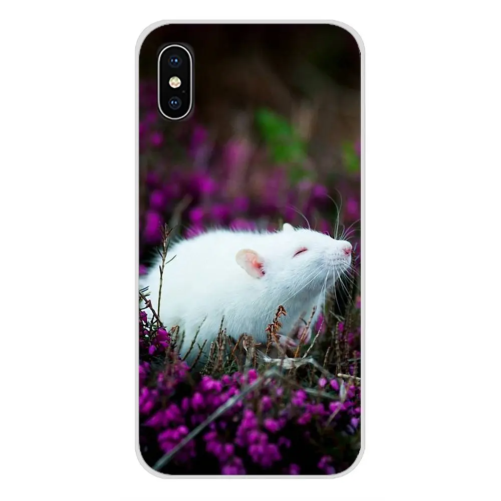 Крысиные очки для Oneplus 3T 5T 6T Nokia 2 3 5 6 8 9 230 3310 1 7 Plus 2017 2018 аксессуары чехлы телефонов |