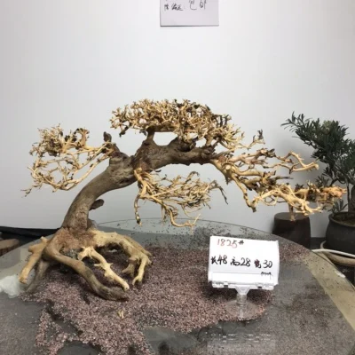 Бонсай дерево Романтический ручной выбор резной аквариум Aquascape|Декорации| |