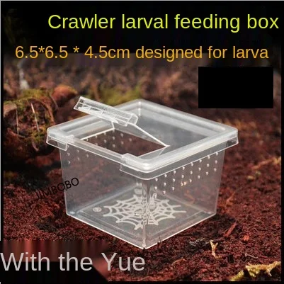

10PCS reptile feeding box special flip design for pet spider larvae prevents jailbreak and facilitates feeding