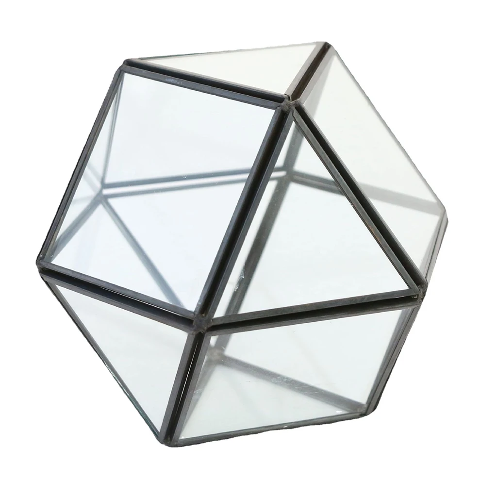 

Succulent Terrarium Container Decorative Plant Glass Cube Modern Geometric Decor Planter for Succulent Fern Moss Air Plants Mini
