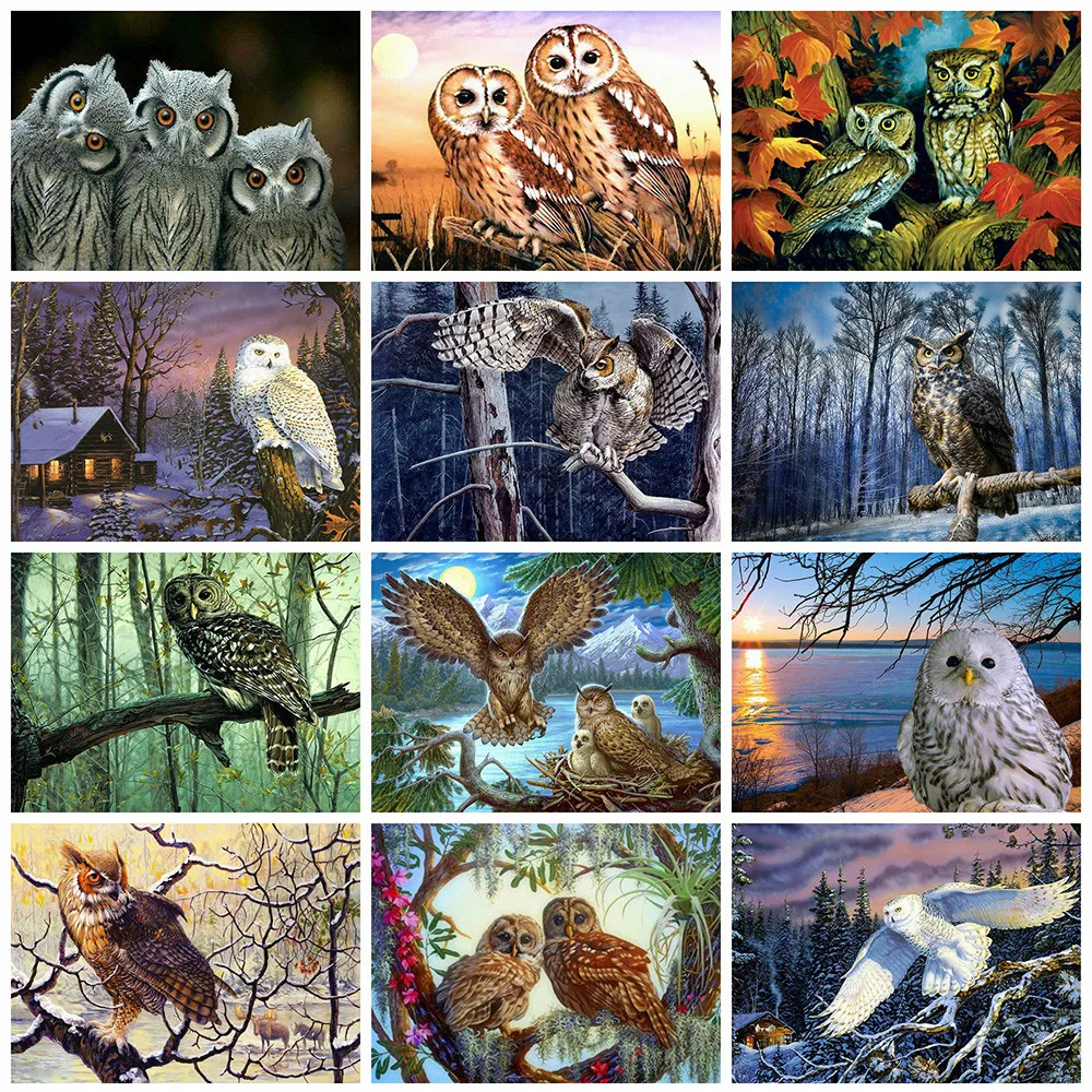 

CraftArtGo 5D DIY Diamond Embroidery Owl Full Square Round Rhinestone Mosaic Painting Cross Stitch Flowers Diamond Kit