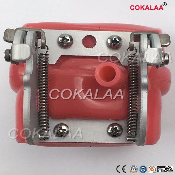 Обучение студентов обучающая модель стоматологического фантомная головка