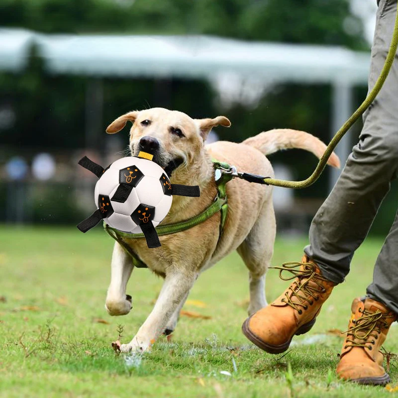 Cawayi Kennel High Flexibility Spherical Toy for Dogs Outdoor Training Interactive Rope Football Toys Nibble Balls D2304 | Дом и сад