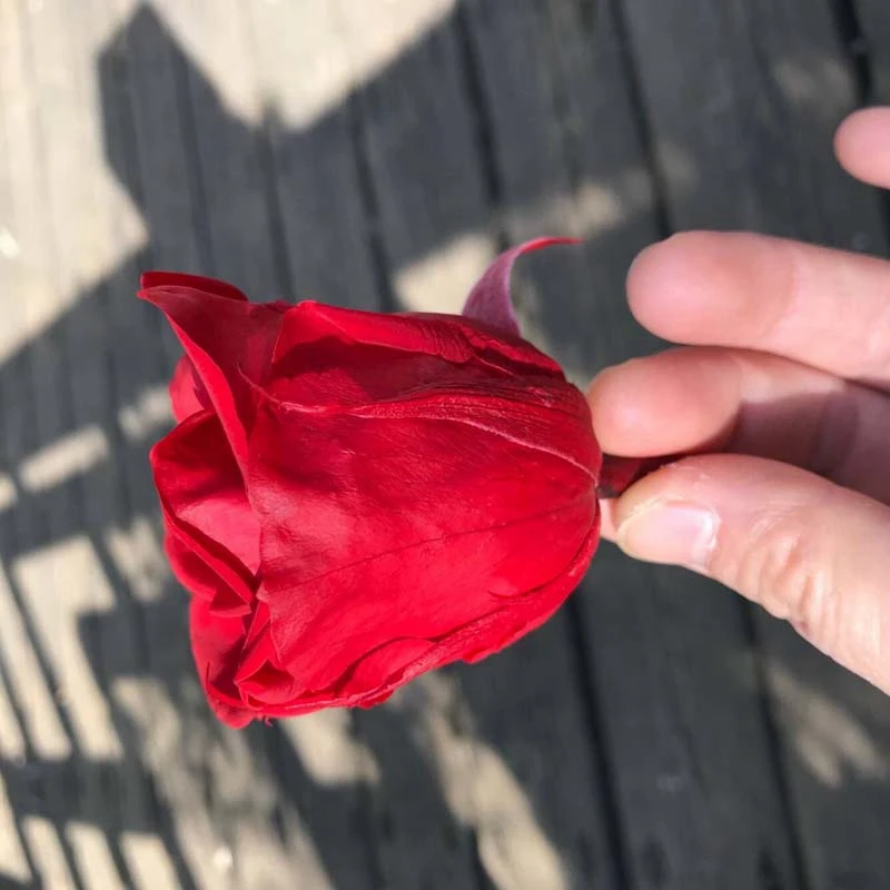 2 набора вечных роз головы Настоящая Натуральная свежая Сохраненная Роза вечная