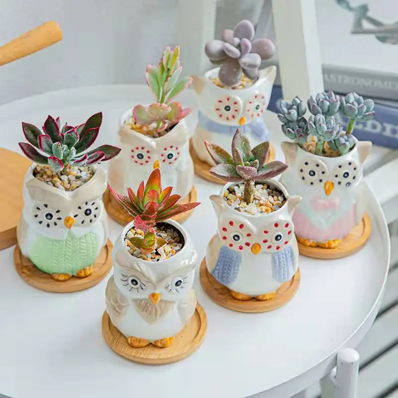 Creative Animal Miniature Model Decoration Succulent Flower Pot Cartoon Ceramic Flower Pot Succulent Plant Pot Garden Decoration