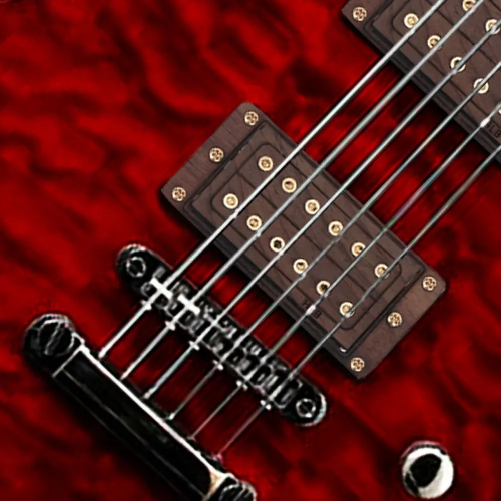 

Rosewood Gold Screws Humbucker Pickups for Electric Guitar Replacement Parts Accessory(GMC24)