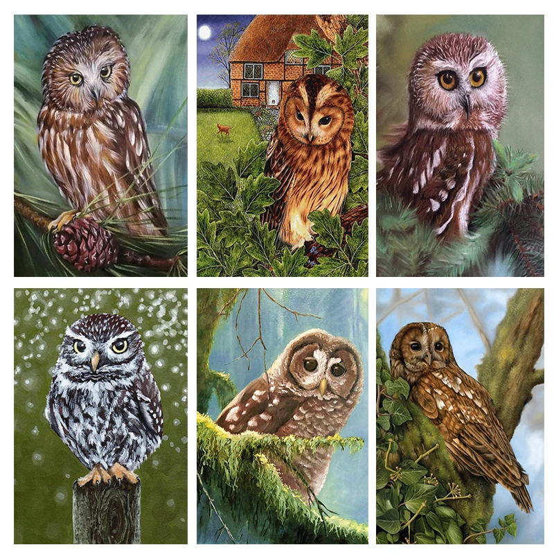 

DIY Animal Owl Full Square Drill Diamond Painting Colorful Handmade Cross Stitch Kits Embroidery Mosaic Home Room Wall Decor