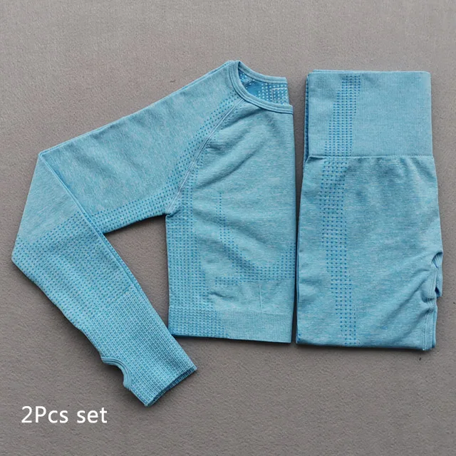 Blue 2Pcs Set Бесшовный Женский комплект из 2 предметов для йоги, одежда для спортзала, леггинсы для фитнеса+ укороченные рубашки, спортивный костюм, женский спортивный костюм с длинным рукавом, одежда для активного отдыха - Цвет: Blue 2Pcs Set