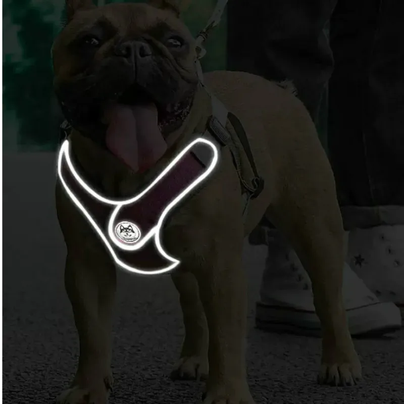 Шлейка поводок для собак нейлоновая сетчатая дышащая регулируемая