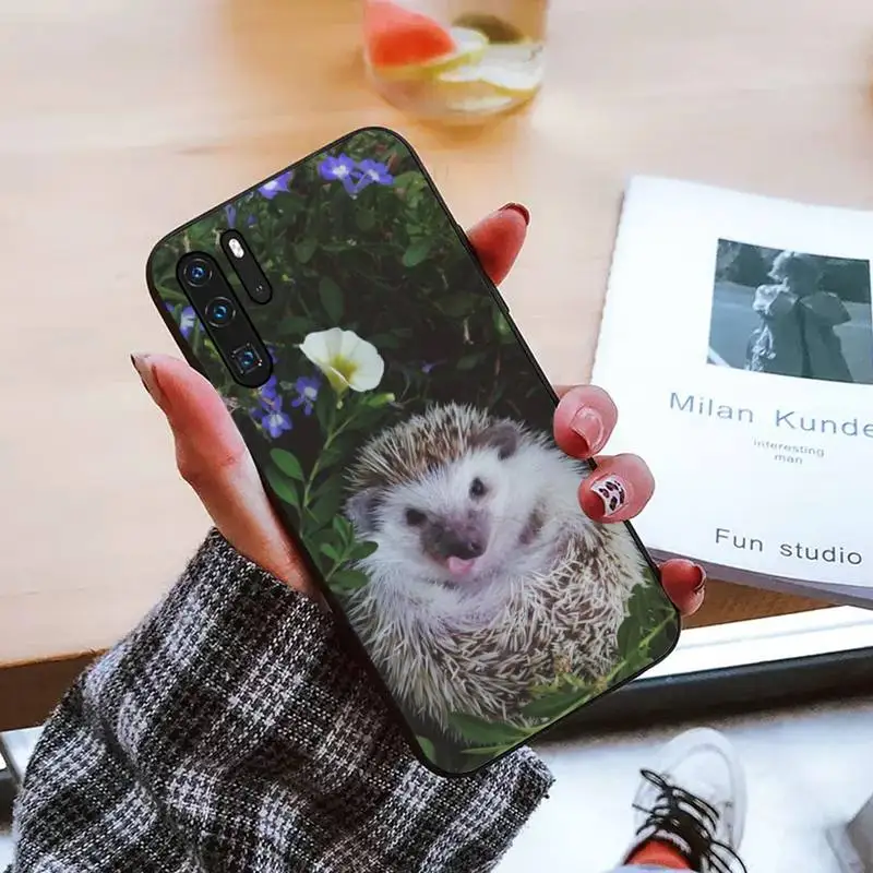 

Hedgehog Phone Cases For Huawei honor Mate mate P 10 9X 10i 20 30 40 y7 lite pro p smart 2019