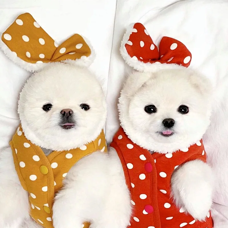 

Pet Clothing Dog Clothing Winter Clothing Cotton Vest Warm Clothing Wave Dot Two-Legged Cotton Vest
