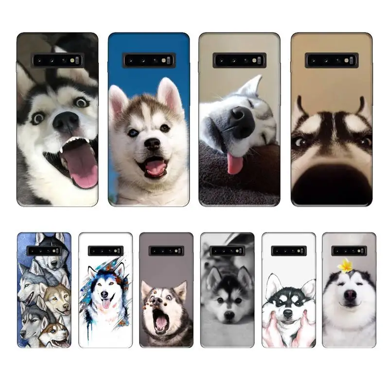 Роскошный брендовый чехол с забавными собаками хаски чехлы для samsung galaxy S8 S9 S10e S20