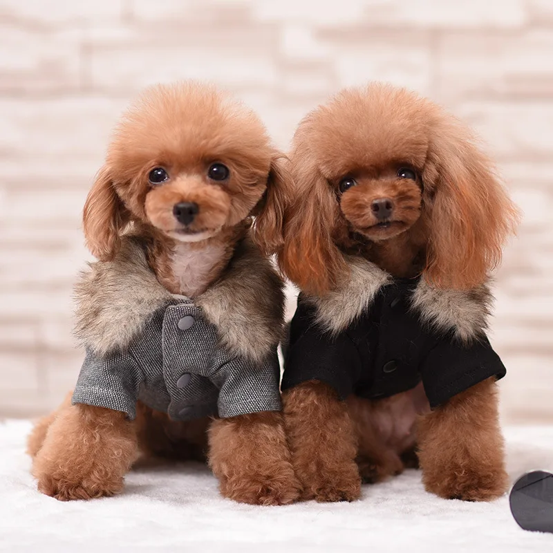 

Elegant Dog Clothes Coat British Style Pet Clothing for Small Dogs Fashion Furry Collar Warm Winter Chihuahua Ropa Para Perro