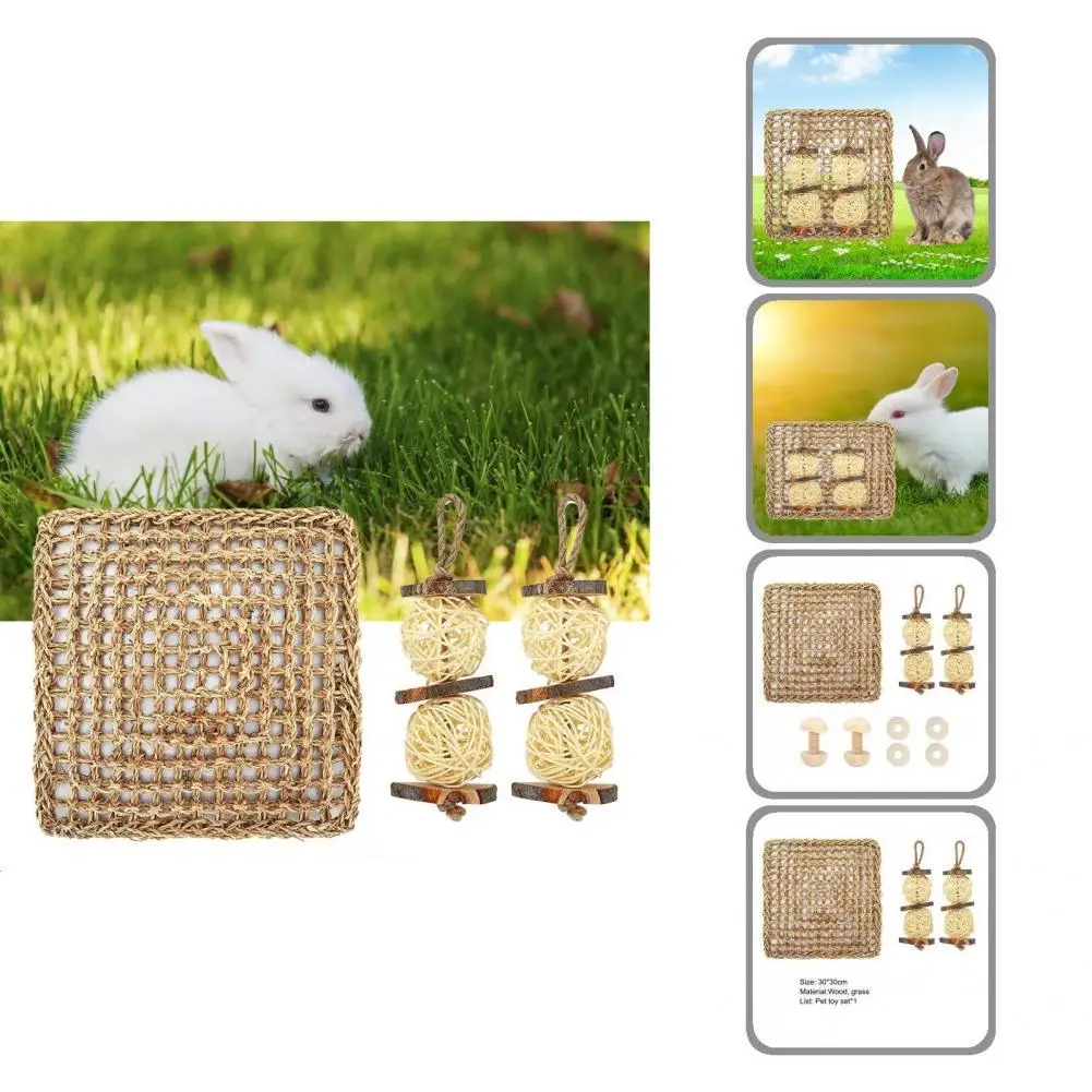 

Аксессуары для клетки 1 комплект Экологически чистая Ландшафтная игрушка морская свинка игрушки Легкая установка мелкие животные принадле...