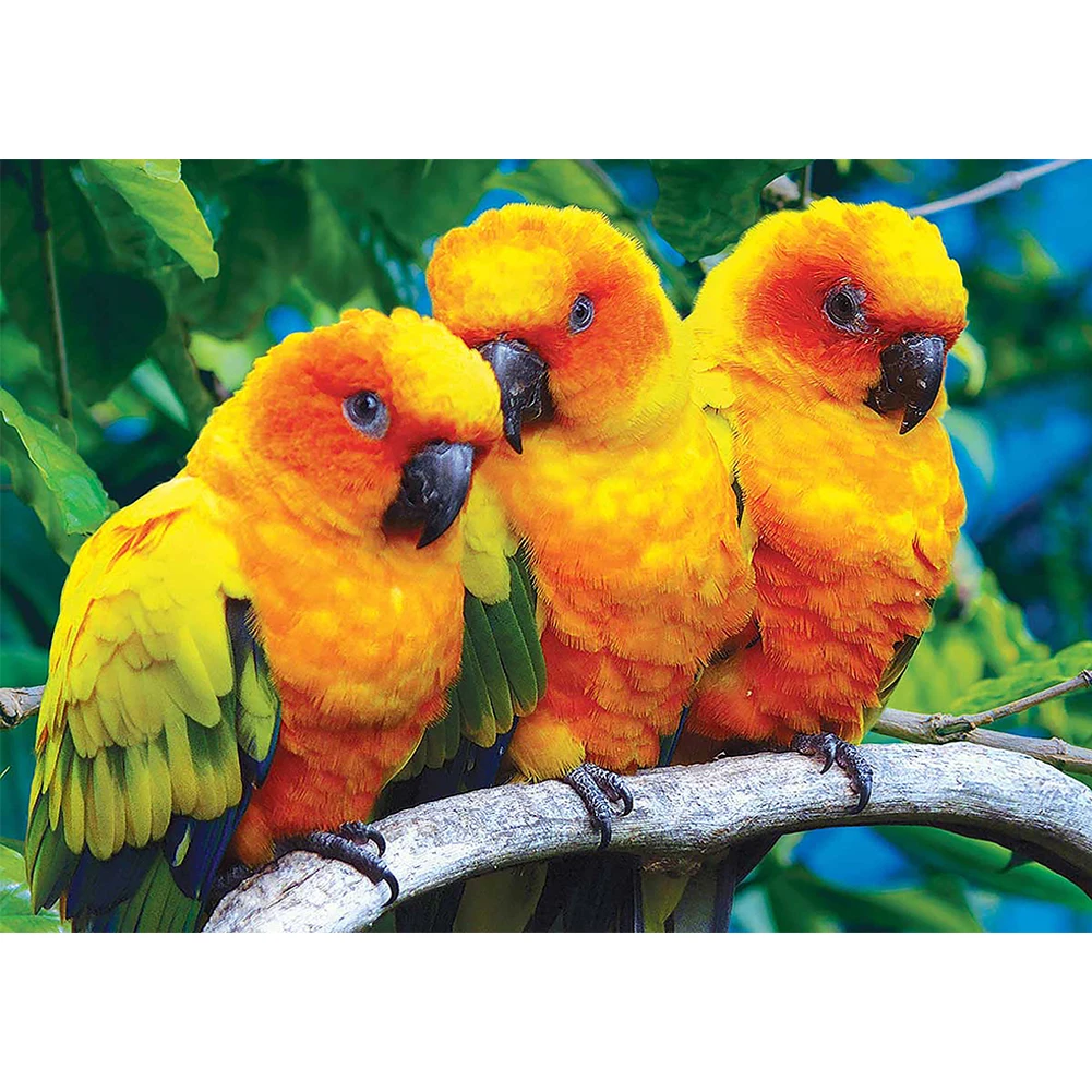 Three Yellow Parrots Diamond Painting Cross Stitch Mosaic 5D DIY Full Drill Kits Framed Eco-friendly Craft | Дом и сад