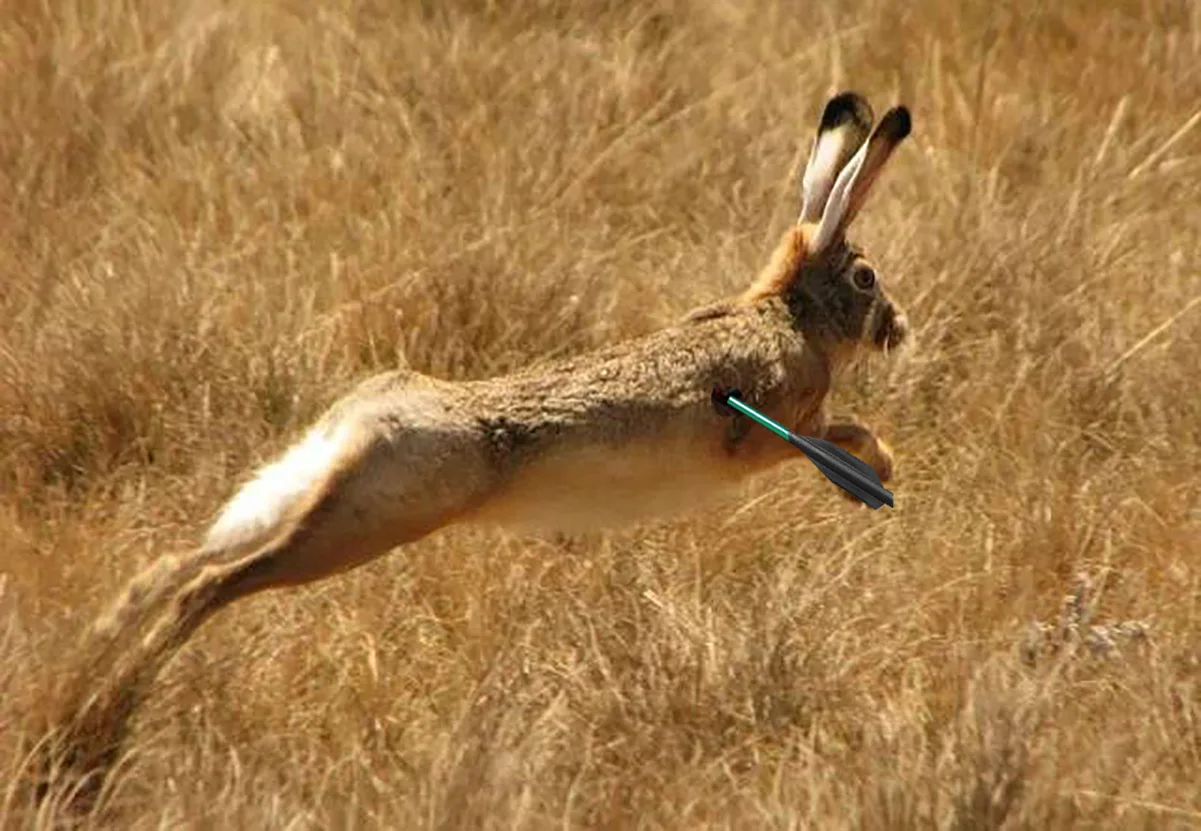 

New 12/36/60PCS 2021Green Aluminum Archery Arrow 6.2 Inch Broadheads Flecha For Crossbow Pistol Accurate Hunting Shooting Arrows