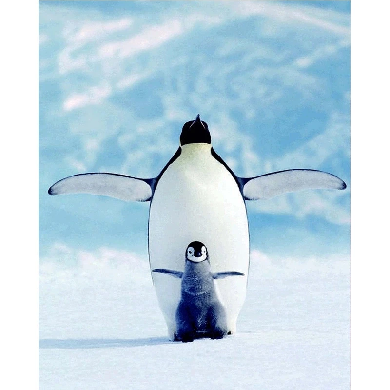 

Полностью квадратные/круглые алмазы 5D, алмазная живопись, Пингвины, вышивка крестиком стразы, мозаика, домашний декор