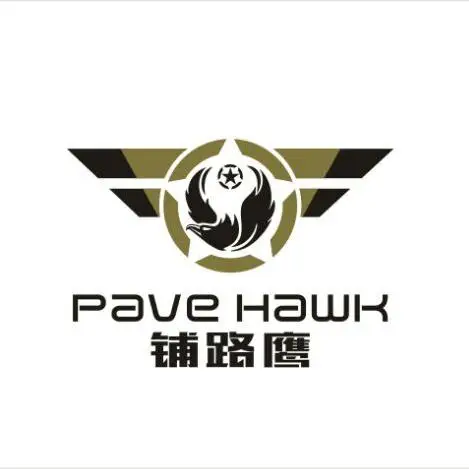 

PAVEHAWK LOGO