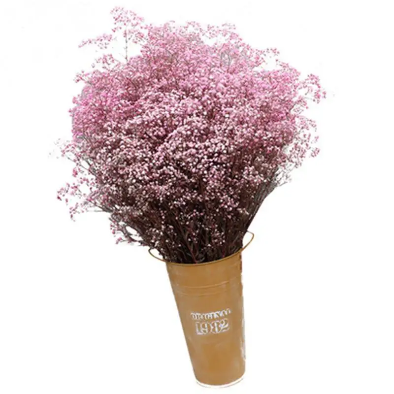 

Natural Fresh Dried Preserved Flowers Gypsophila paniculata,Baby's Breath Flower bouquets gift for Wedding Decoration,Valentines
