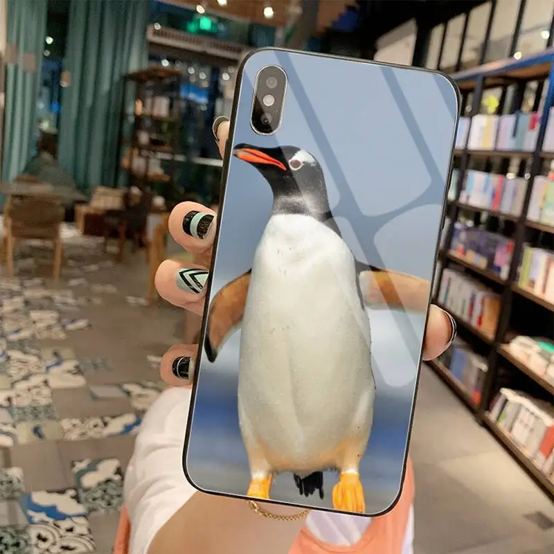 KPUSAGRT милый Пингвин мягкий резиновый чехол для телефона закаленное стекло iPhone 11 Pro