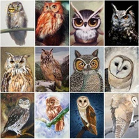 animal owl full roundsquare drill diy 5d diamond painting cross stitch embroidery mosaic picture rhinestone decor home gift