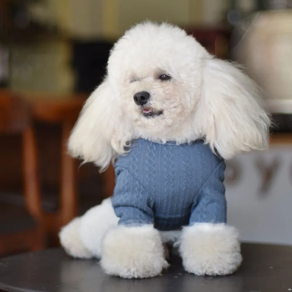 Pet Sweater for Autumn and Winter Korean Fashion Dog Cat Small Medium Stretch Underwear Two Feet Apparel | Дом и сад