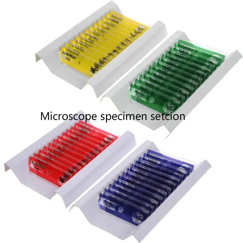

Plastic Microscope Animals Insects Plants Flowers Prepared Slides For Kids