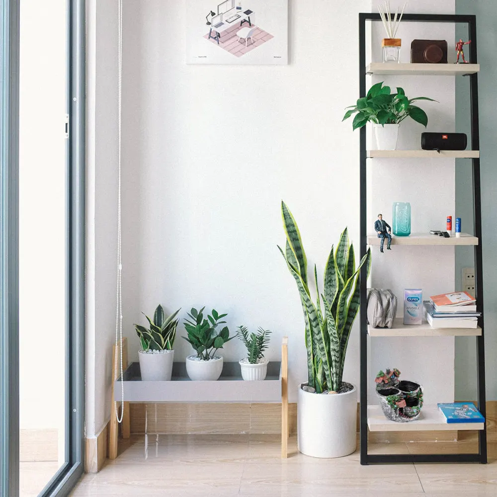 

Resin House Decoration Succulent Holder Succulent Flowerpot Desktop Ornament As Shown (Style 2)