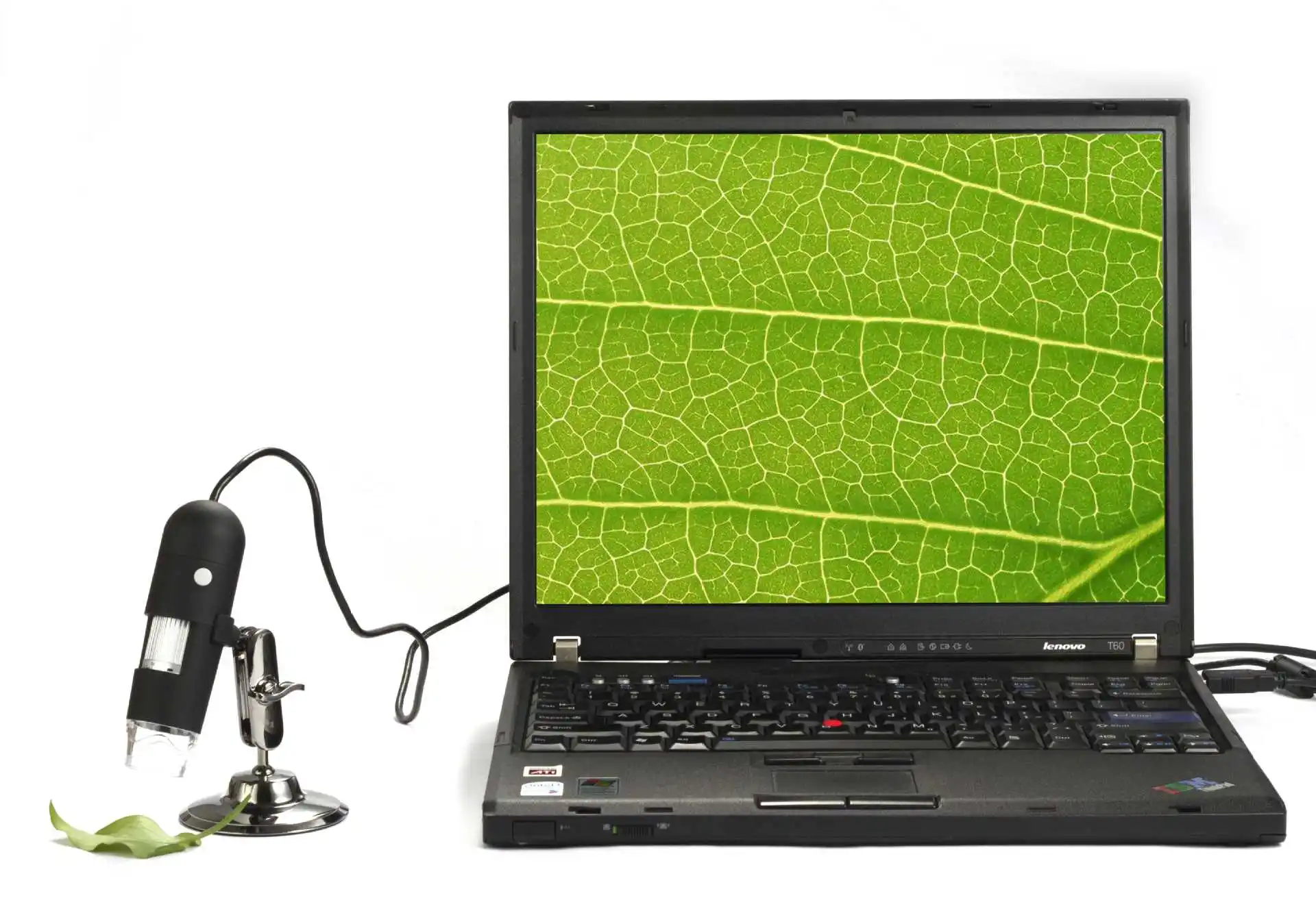 Электронный цифровой микроскоп с высокой четкостью 200X USB оптическое