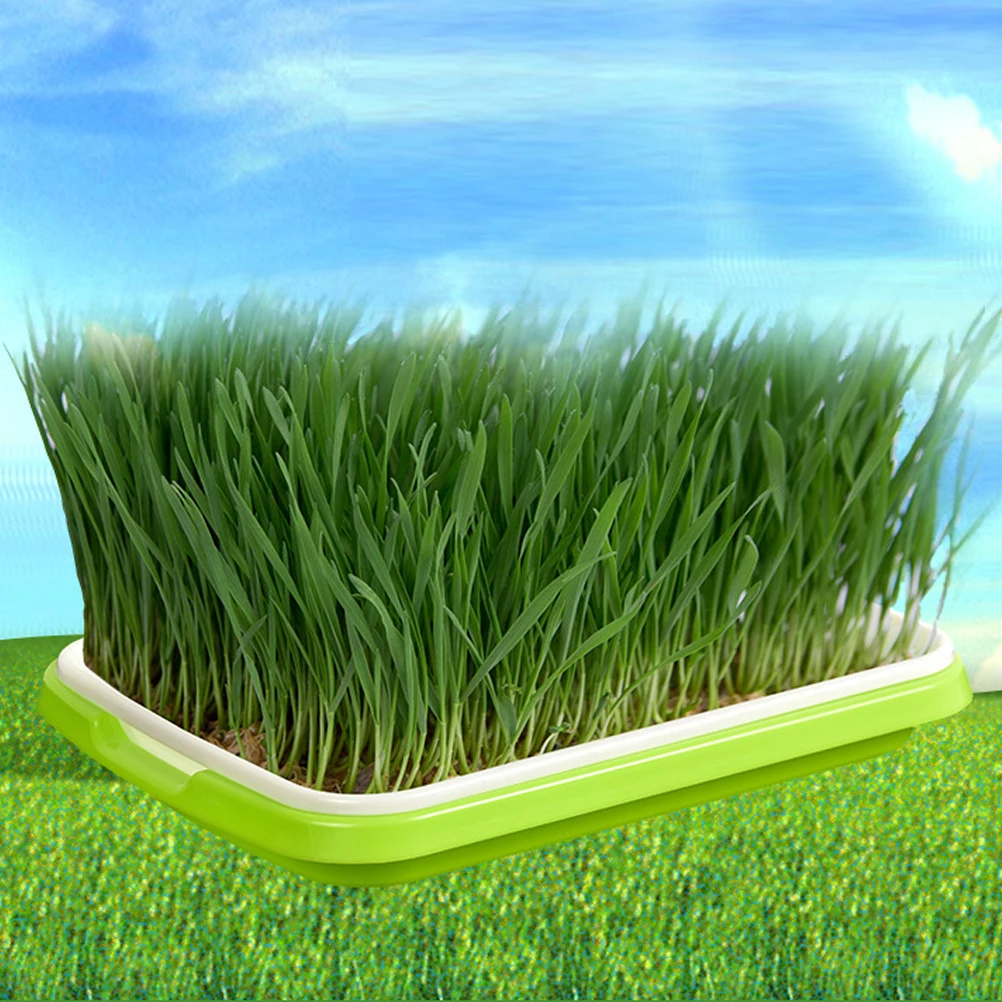 2 шт. завод лоток питомник двухслойная беспочвенная Гидропоника для рассады