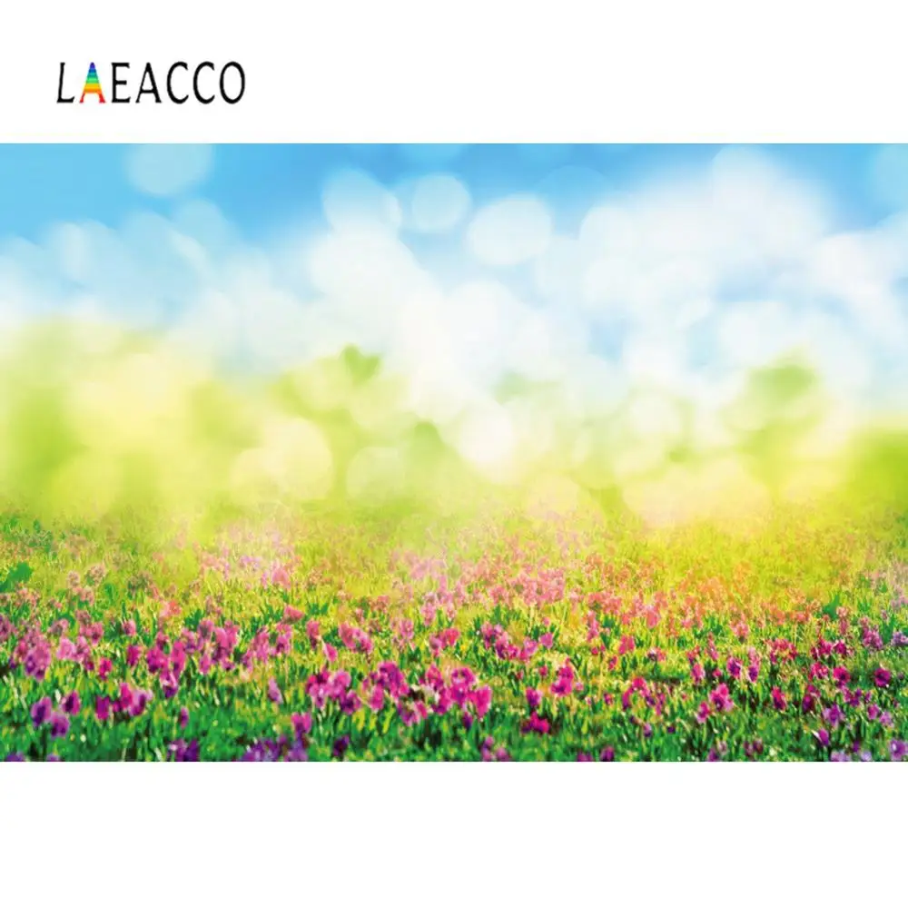 Laeacco фон Весна для фотографии Dreamy горошек светильник Bokeh цветы зеленая трава