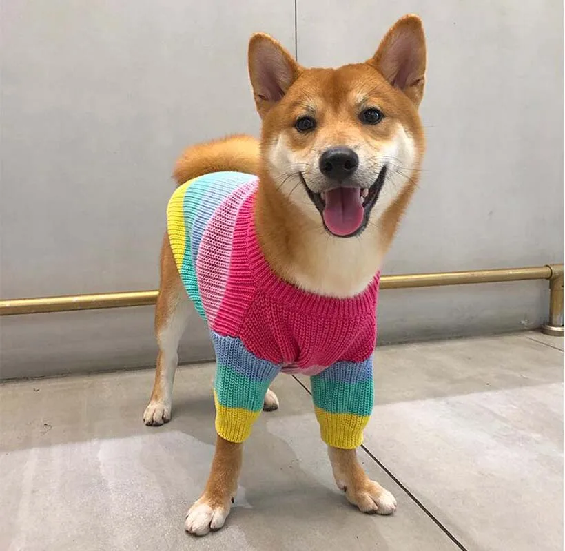 Милый свитер в радужную полоску для собак пуловер с индивидуальным дизайном