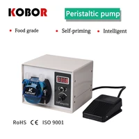 intelligent mini pump small food grade circulating self absorbent large flow pump automatic peristaltic pump 220v dc pump