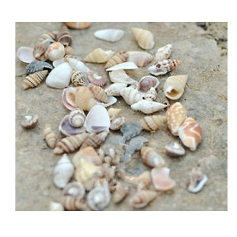 Смешной Мини-раковины в 1 мешке смесь морских раковин для поделок вечерние
