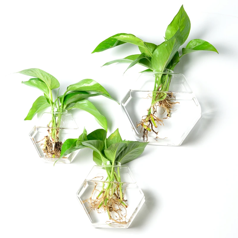 1 шт. настенная модная стеклянная ваза гидропоники Горшечное растение цветочный