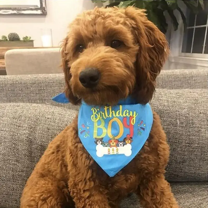 

2 шт./компл. собака День рождения шляпа нагрудники украшение реквизит для фотографии головной убор шарф аксессуар для костюма