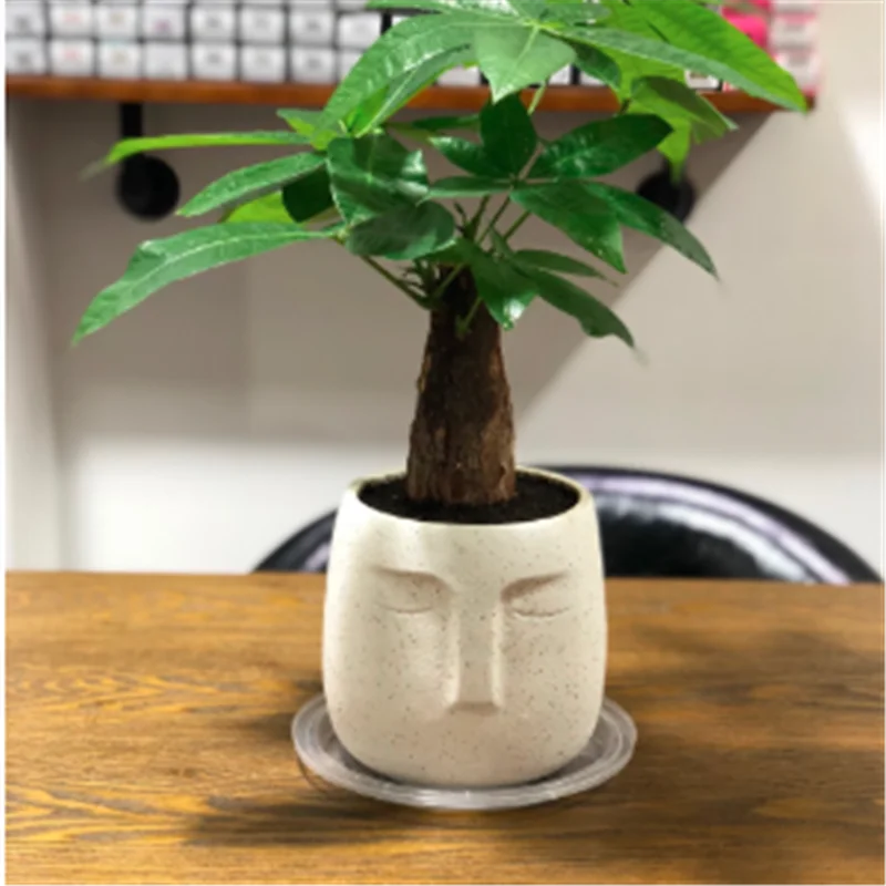 Большой садовый цветочный горшок формы для бетона настольные украшения Ваза