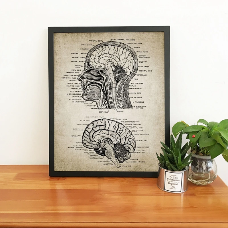 

Vintage Human Head And Brain Anatomy Canvas Art Prints Poster Doctors Office Wall Art Decor Neuroscience Human Anatomy Painting