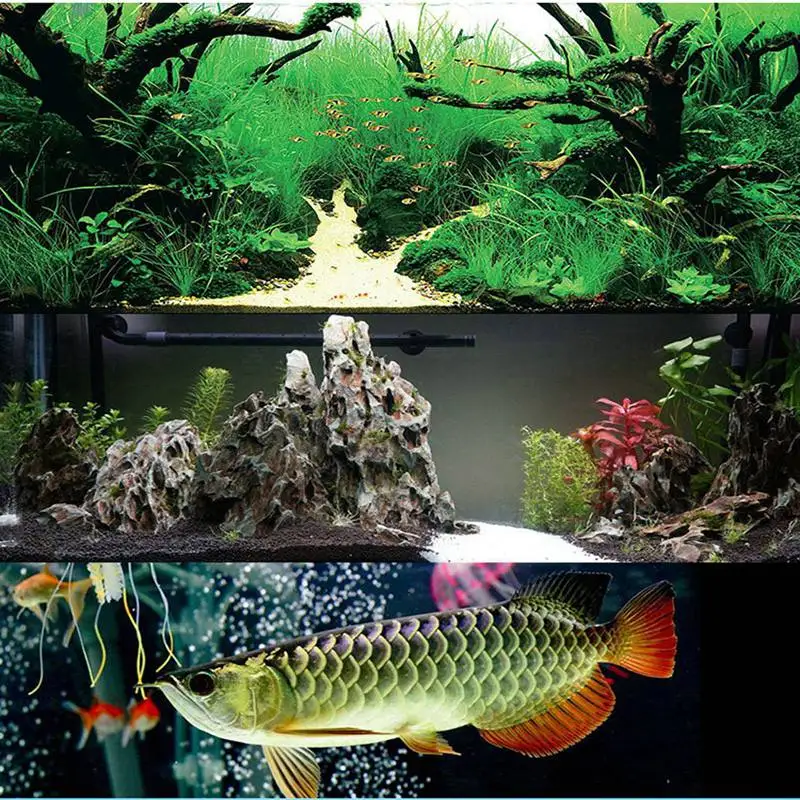 

Aquarium Accessories Practical Biochemical Decoration Cotton Sponge Aquarium Filter Fish Tank Pond Black Foam Sponge Tank