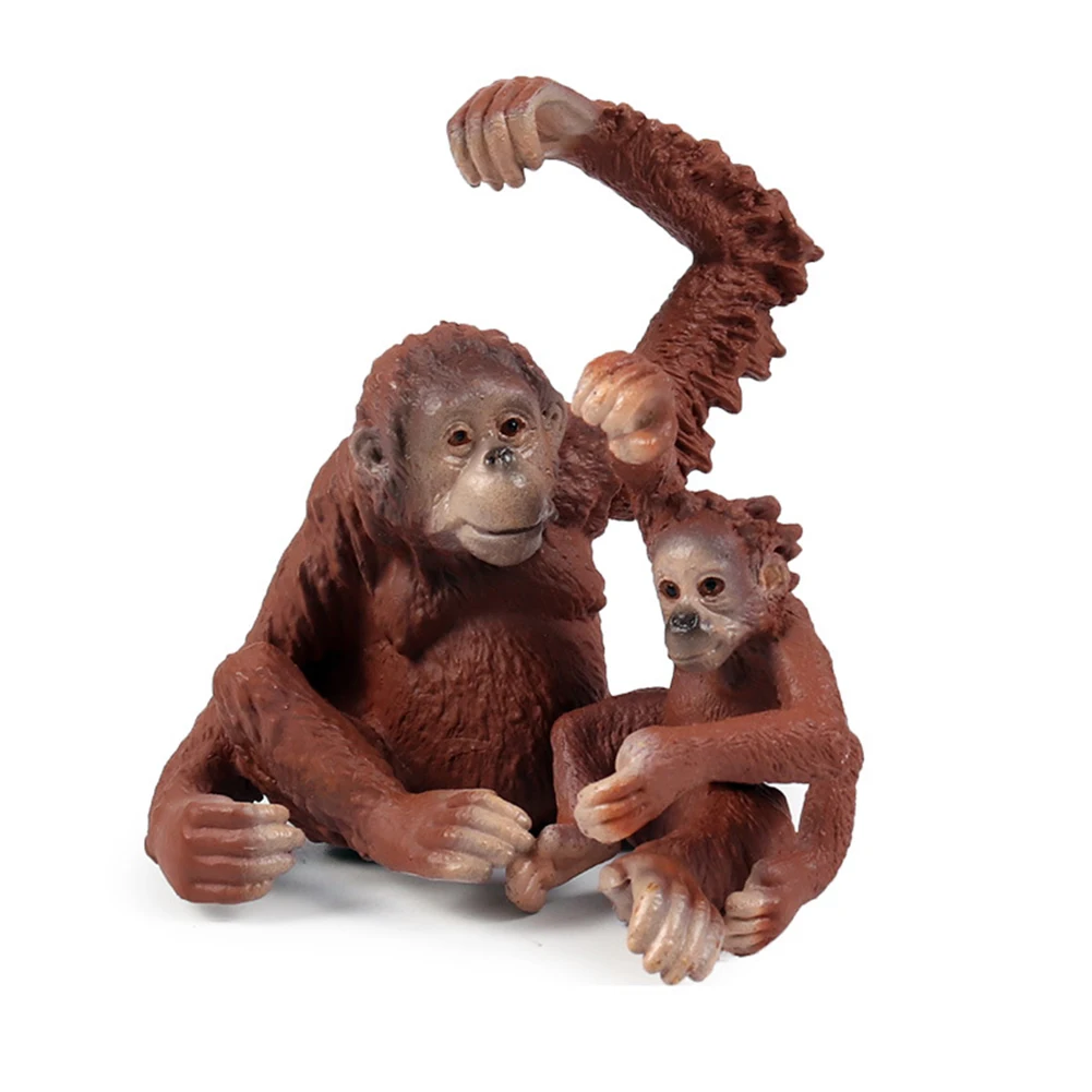 Моделирование гилобатов диких животных Твердые модели фигуры Образование